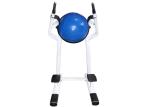 Customizable Commercial Grade Gym Equipment Dip Chin Station Leg Raise Power