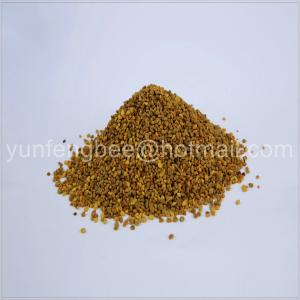 Wholesale Hot selling pine pollen powder wholesale bee pollen prices from china suppliers