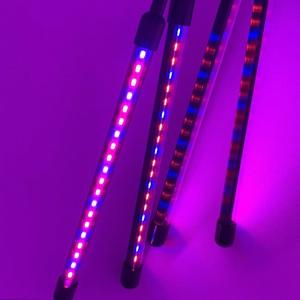 Wholesale SMD5050 650nm Full Spectrum LED Grow Light from china suppliers