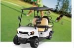 Customized off-Road Lead acid Battery Hunting Buggy Best Electric Golf Cart