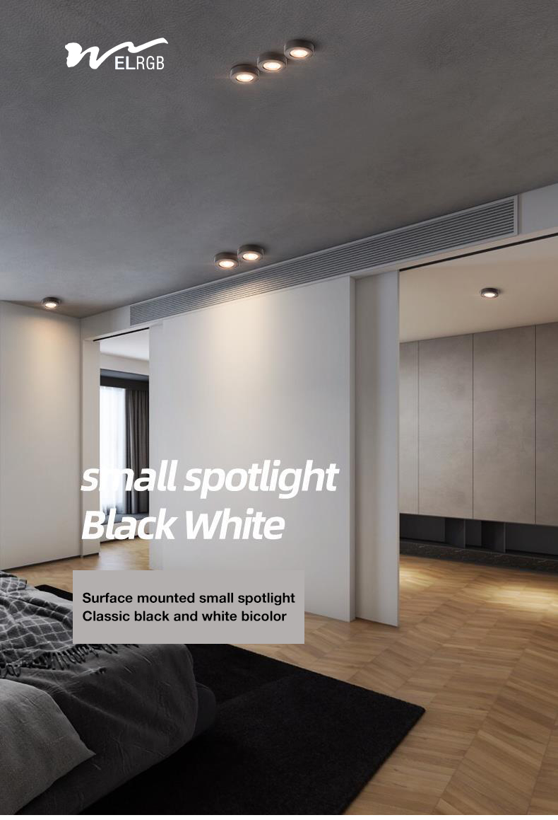 Home Office LED Spotlight with Smart Lights and Remote Control in Black Product Style