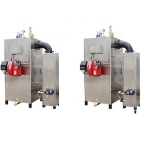 Wholesale Heavy Duty Diesel Steam Boiler SUS304 Horizontal Style 95% Efficiency from china suppliers