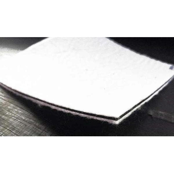 Water Conservancy Composited Geotextile Membrane Two Layer Anti Seepage Reinforcement