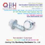 QBH DIN6921 M5-M20 Blue White Zinc Plated / Black / Plain Carbon / Stainless