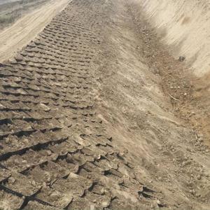 Wholesale 50mm-300mm Height Ground Stabilization Grid Corrosion Resistant from china suppliers