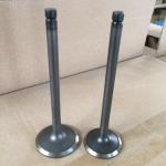 Automobile Engine Valve B13 GA16 Intake Exhaust Valve For Nissan 13201-53Y00