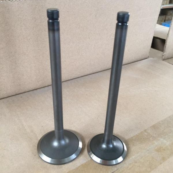Automobile Engine Valve B13 GA16 Intake Exhaust Valve For Nissan 13201-53Y00