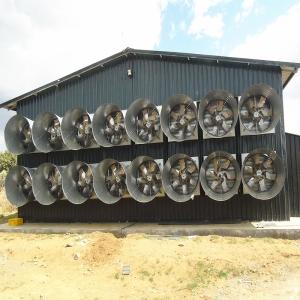 Wholesale 46000m3/H Chicken Farm Industrial Ventilation Fan 1270mm Poultry Control Shed System from china suppliers