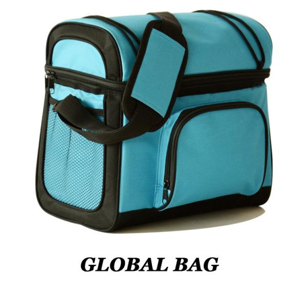Insulated Soft Cooler Picnic Lunch Box Tote Bottle Bag Freezer Tote promotional