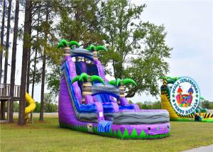 Wholesale Summer Inflatable Water Slides For Adults Blue Purple Color Customized Size from china suppliers