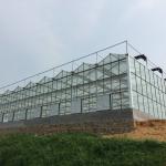 24 X 24 24 X 18 20x30 Venlo Custom Glass Greenhouse Cover Sides Polycarbonate