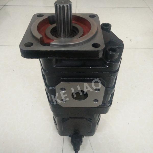 CBGJ Double Pump Square cover Spline Black Compact Original Gear Pump For