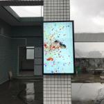 Wall Mounted Waterproof Digital Signage IP66 LCD 55"