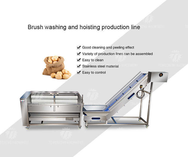 1.5 Tons / Hour Fruit And Vegetable Processing Line Root Brush Washing