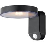 Weatherproof SMD2835 Solar Pathway Lights , 0.5W Solar Powered Garden Street