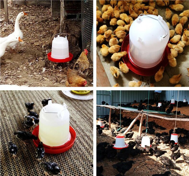 6KG Chicks Water Feeder 15L Plastic Poultry Feeder Drinker