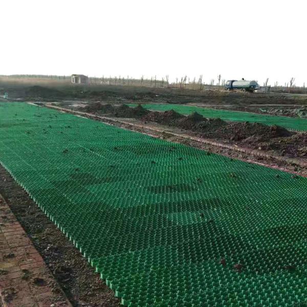 400*420mm*66mm HDPE Grass Paver Grid for Noble Living Community and Gravel