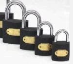 Weather Resistant Padlock Iron 20mm 25mm 30mm ODM