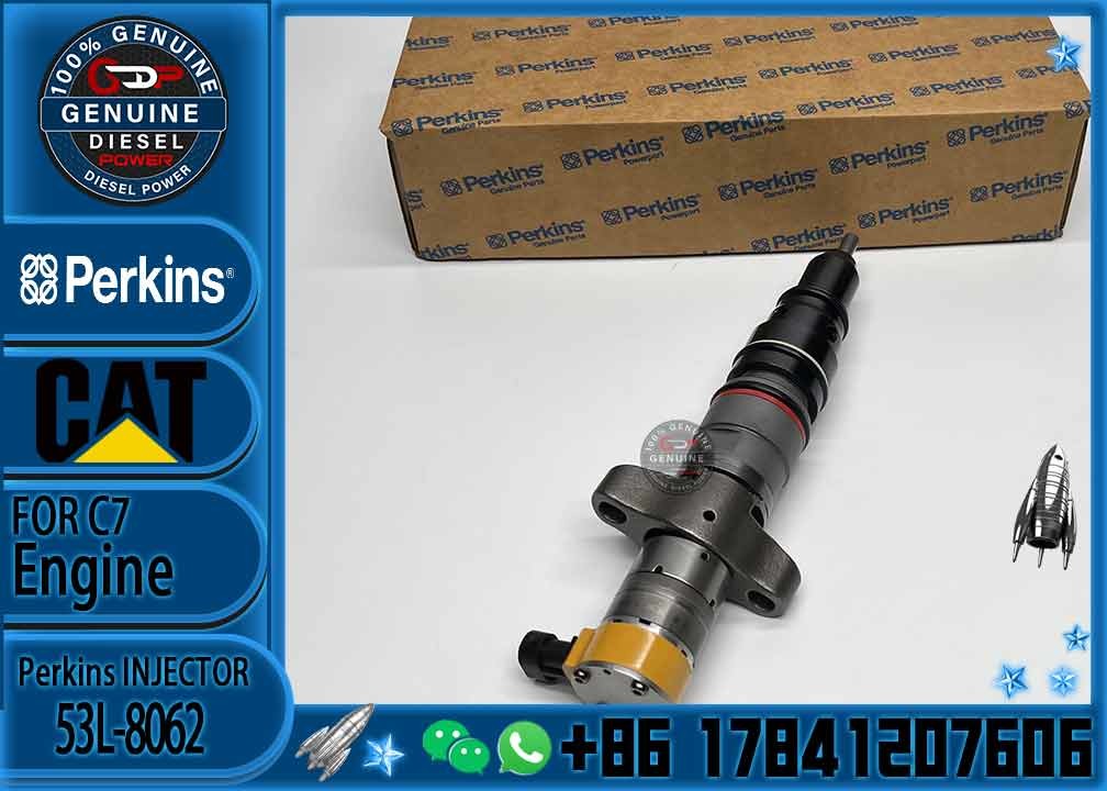 Common rail injector fuel injector 53L-8062 553-2592 387-9437 557-7633 for C7 C9 Excavator 330D 336D