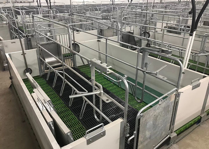 Pigsty Equipment 2.5mm Thickness Sow Farrowing Crate