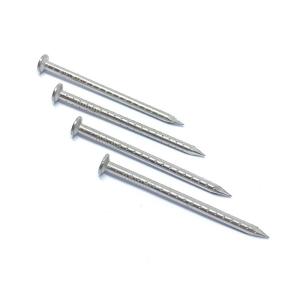 Wholesale SUS316 Fibreboard Hollow Shank Nails / Wood Nails 30X2.8MM CE Passed from china suppliers