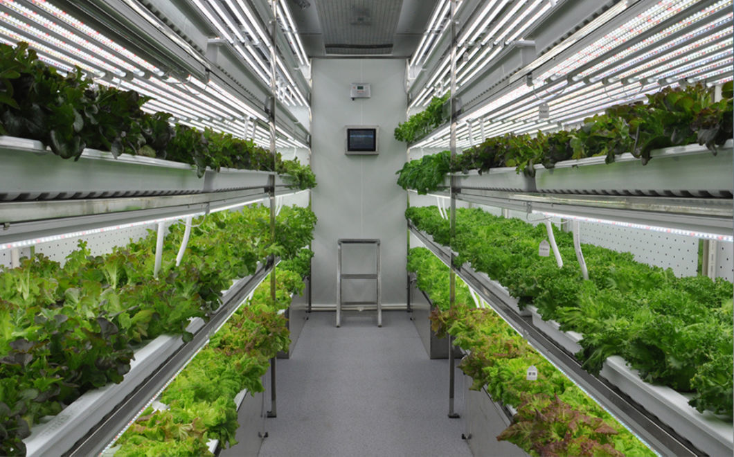 Container Farm Strawberry Capacity Hydroponic Systems Vertical Plant Factories