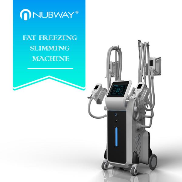Best selling 4 different size handles Cryolipolysis work together with amazing