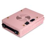 300W Double Chip High Irradiance LED Red Light Therapy Lamp Skin Treatment
