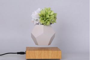 Wholesale 360 rotating magnetic floating levitation green air bonsai plant flowerpot from china suppliers