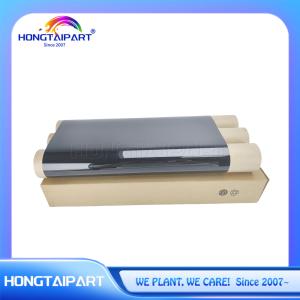Wholesale Cooling Belt 064E92910 064E93070 64E92910 64E93070 for Xerox Color 800 1000 800i 1000i C800 C1000 Printer from china suppliers