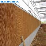 Greenhouse Ventilation Exhaust Fan For Angricultural Industrial Factory