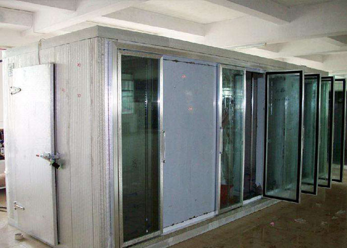 Low Temperature Polyurethane Cold Storage Room Freezer With White Core