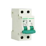 IEC60898 SUNTREE 2Pole 63Amp AC Circuit Breaker