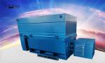 6000kw Three Phase Squirrel Cage AC Induction Motor High Voltage AC Motor 6kv