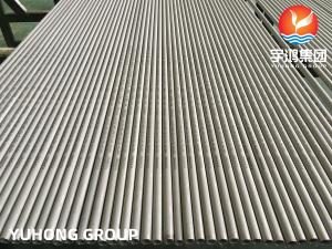 Wholesale ASTM A213 TP316L Stainless Steel Seamless Heat Exchanger Tube from china suppliers