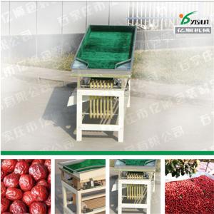 Wholesale Jujube size grader YSXT-1C from china suppliers