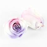 Beautiful Colorful Preserved Rose Heads Elegant For Home Decoration