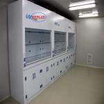 400m3/h Airflow PP Chemical Fume Hood Laboratory Fume Hoods Ensuring Clean and
