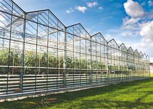 Wholesale Solar Glass Greenhouse Low Heat Consumption Even Indoor Light Distribution from china suppliers