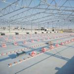 Galvanized Sheet Livestock Farm House Steel Structure Breeder Chicken Houses
