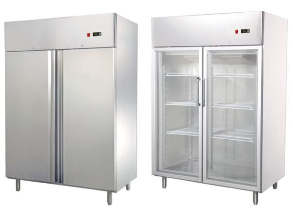 CE Approved R290 Available 2 Door Commercial Freezer Commercial Kitchen