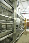 4 tier Chicken Egg Poultry Farm Cage Hot Dip Galvanized Walking Feeder Machine