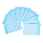Sample Freely Offered Disposable Underpads for People Care Hospital Family