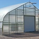 Plastic PE Film Low Tunnel Poly House Agricultural Greenhouse For Tomato