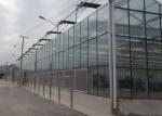 High Grade Galvanized Pipe Greenhouse Glass Covering Commercial