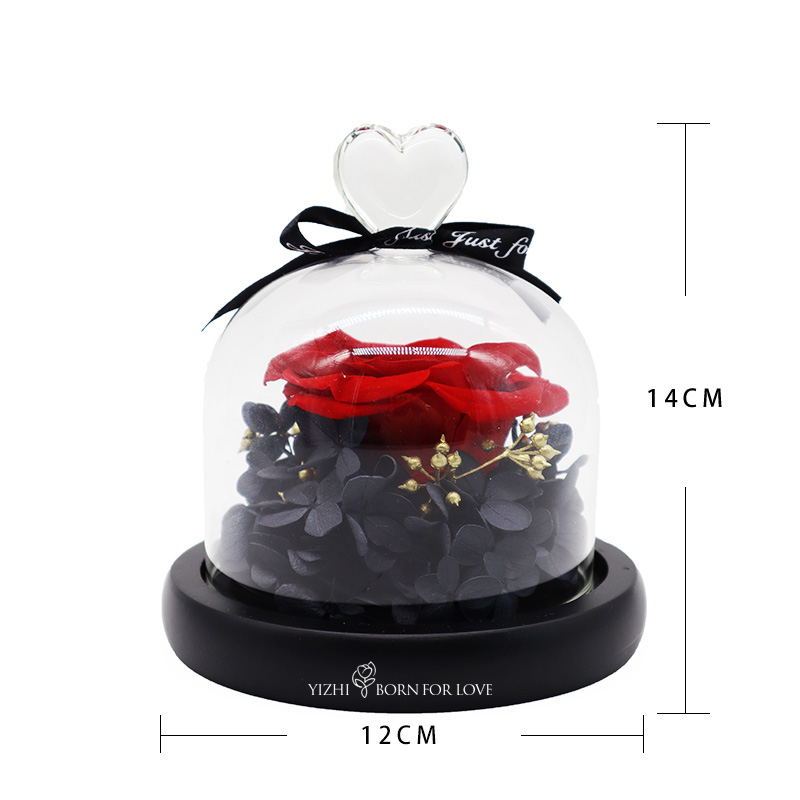 Wedding Decoration 7-8CM Preserved Rose Glass Dome