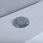 10 Inch Rough In One Piece Elongated Toilet S Trap Floor Mounted Wc Siphonic