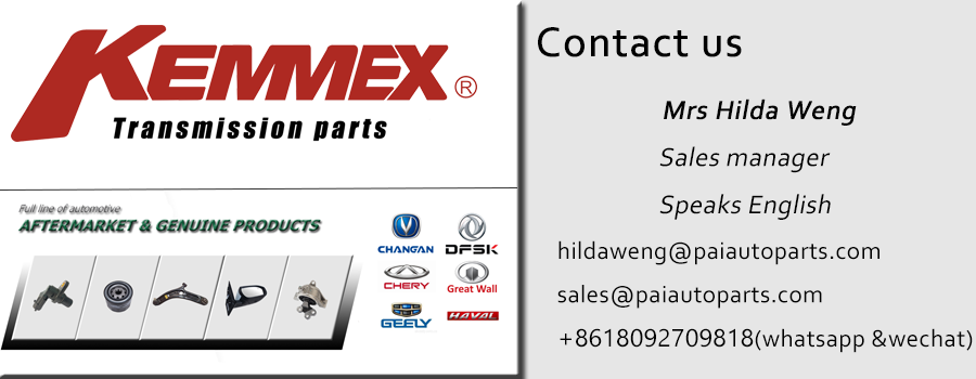 518977 Year OTHER 4HP20 4HP16 2644086Z00 0501315184 93742042 Automatic Filter Peugeot
