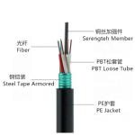 Corrugated Steel SM G652D Optic Fiber Cable 48core Armored