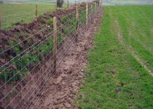 Wholesale Electric Galvanized Iron Wire Cattle Mesh Fencing For Livestock from china suppliers